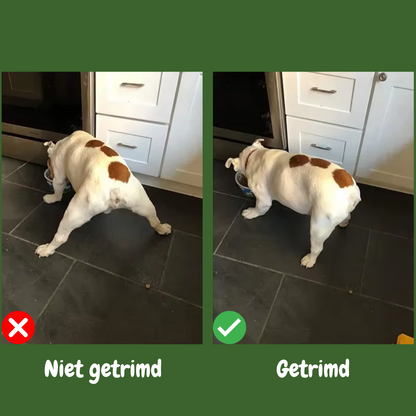 Hondentrimmer CleanPaws voor Gladde Pootjes