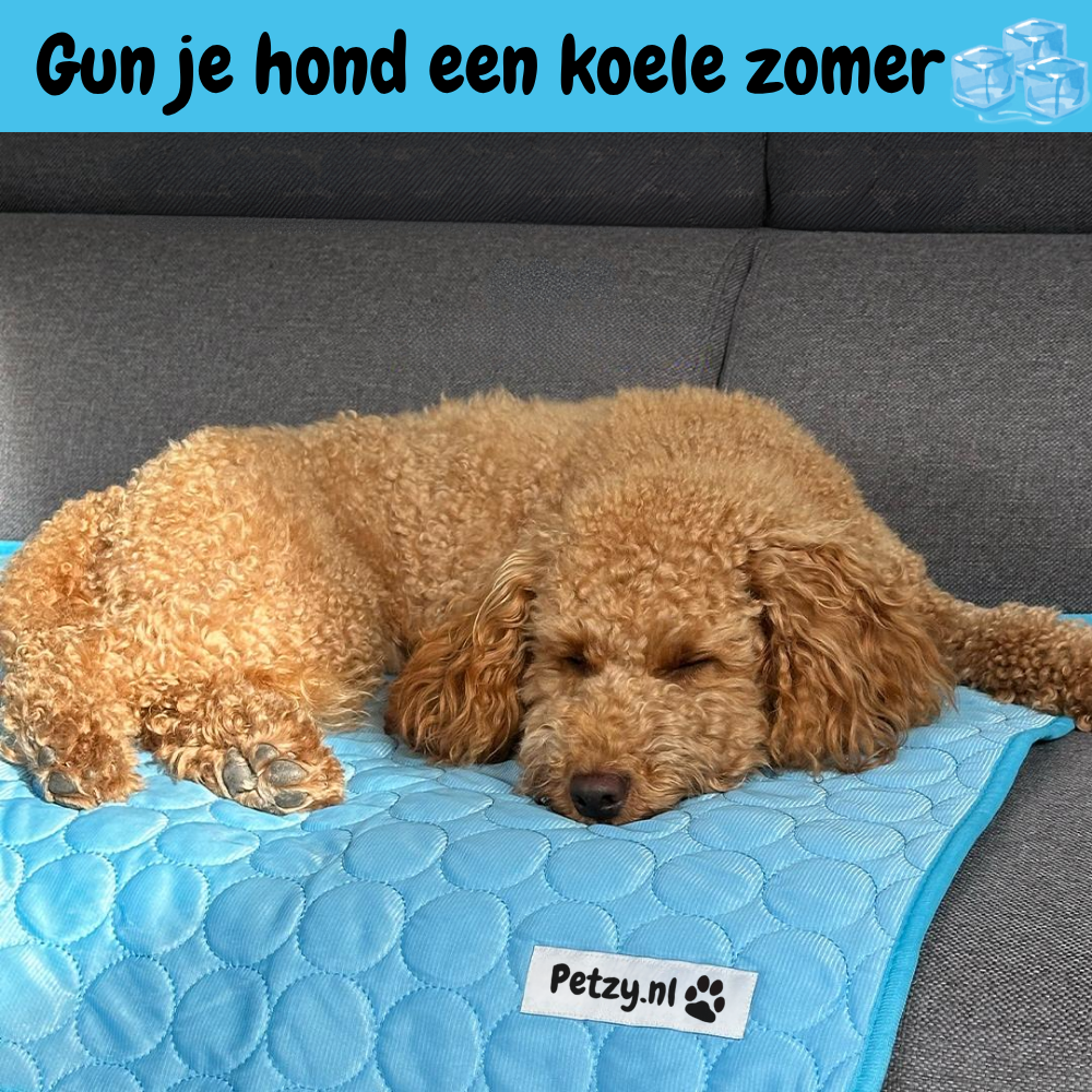 CoolCore Verkoelende Hondenmat voor Comfort en Koelte