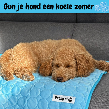 CoolCore Verkoelende Hondenmat voor Comfort en Koelte