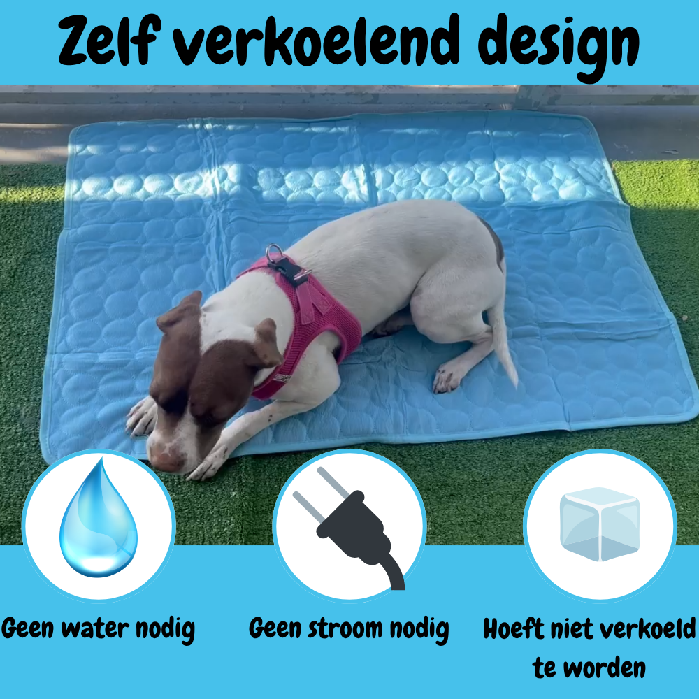 CoolCore Verkoelende Hondenmat voor Comfort en Koelte