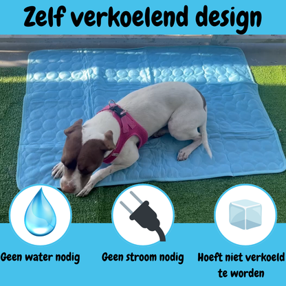 CoolCore Verkoelende Hondenmat voor Comfort en Koelte