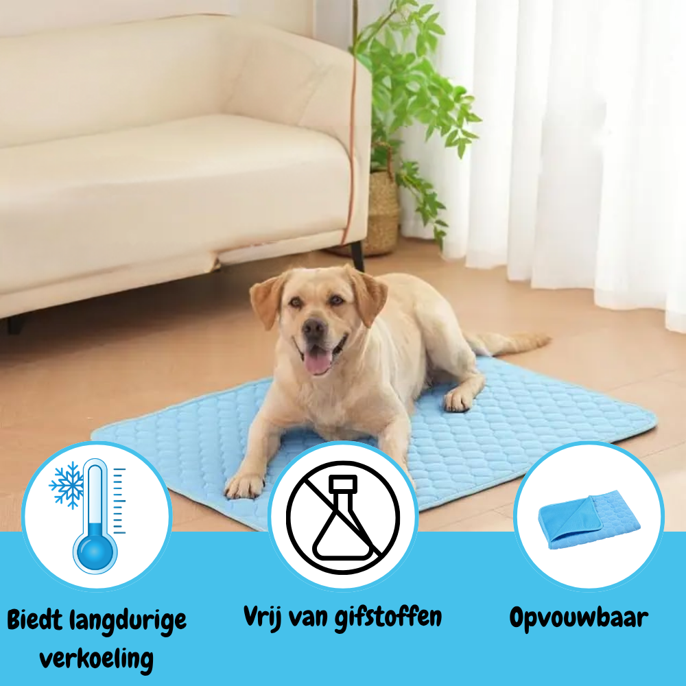CoolCore Verkoelende Hondenmat voor Comfort en Koelte