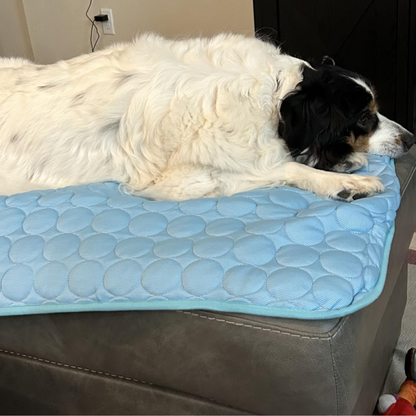 CoolCore Verkoelende Hondenmat voor Comfort en Koelte