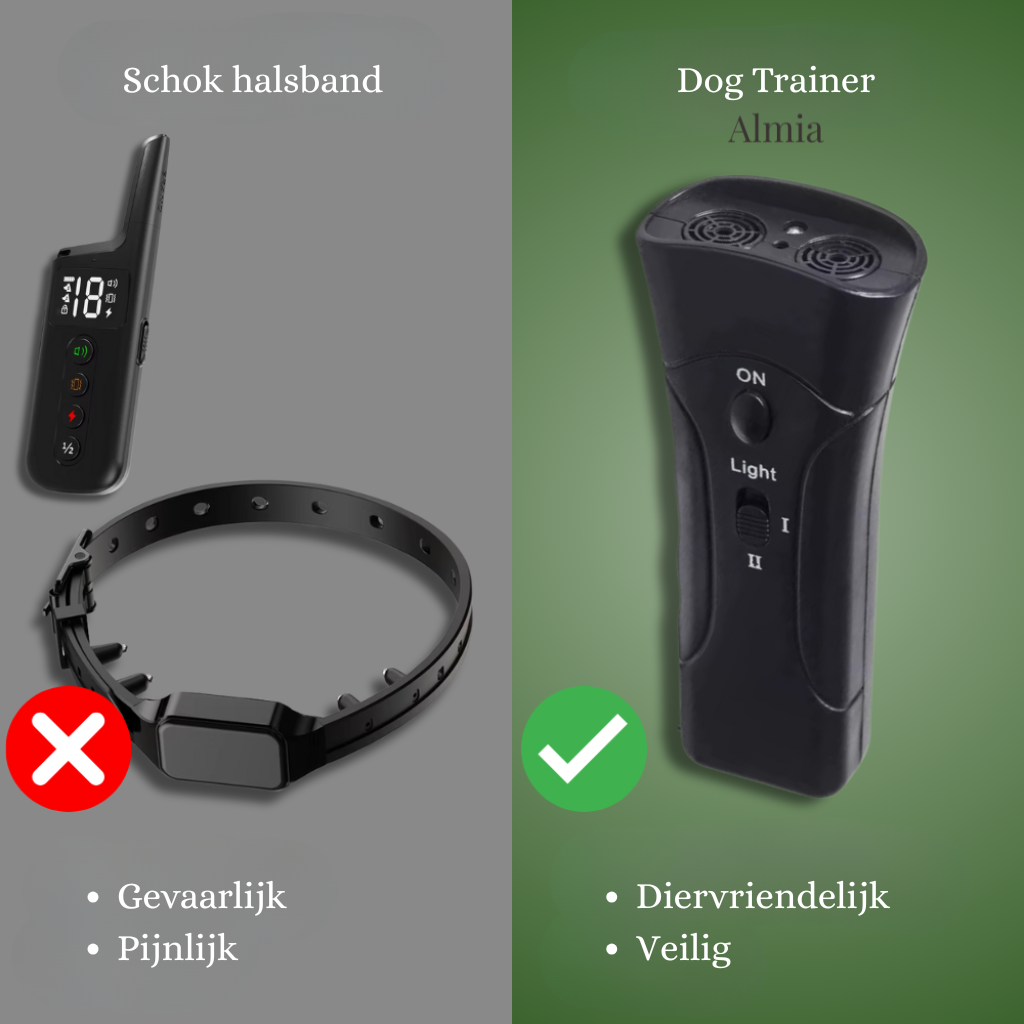 Dog Trainer