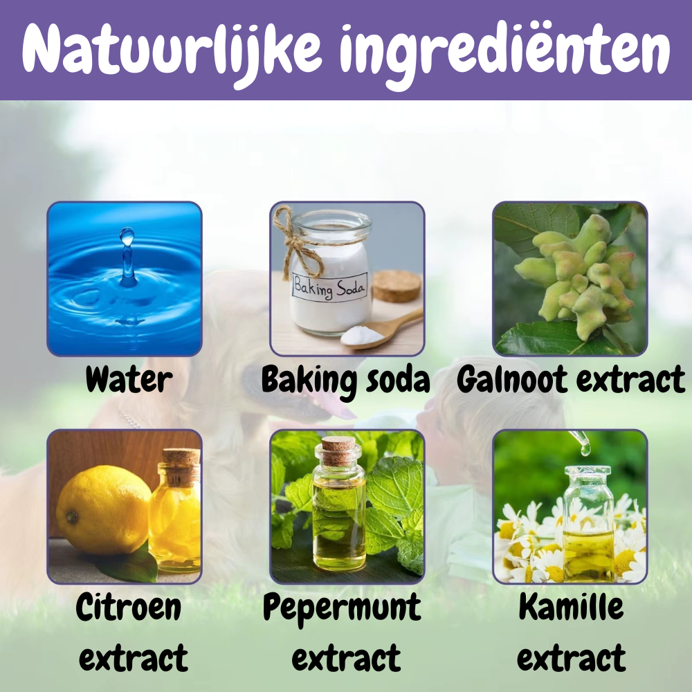 Tandverzorgingspen PetDent voor een Gezond Gebit