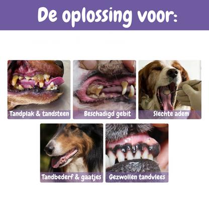 Tandverzorgingspen PetDent voor een Gezond Gebit