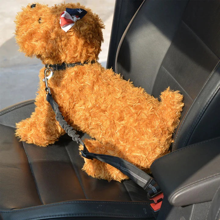 Autogordel voor Honden van SafeDogz - Veilig Op Reis