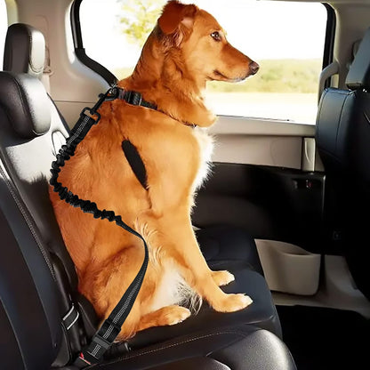 Autogordel voor Honden van SafeDogz - Veilig Op Reis