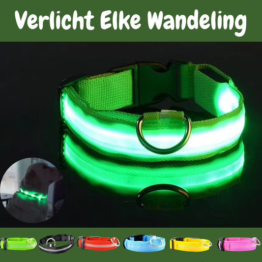 LED-halsband voor honden van SafeGlow