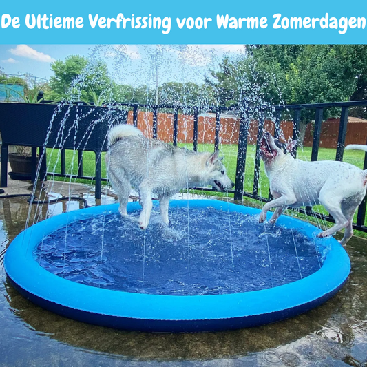 Hondenzwembad SplashJoy - Voor Uren Speelplezier