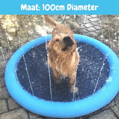 Hondenzwembad SplashJoy - Voor Uren Speelplezier