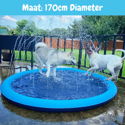 Hondenzwembad SplashJoy - Voor Uren Speelplezier